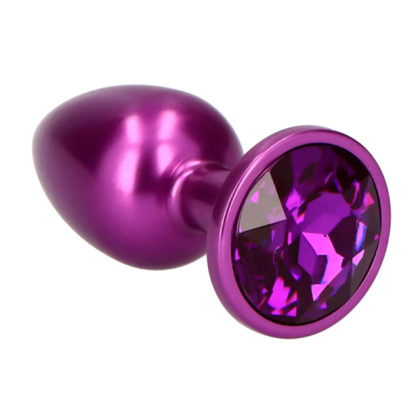 Plug Viola Secret Pleasure